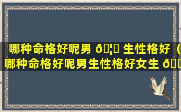 哪种命格好呢男 🦁 生性格好（哪种命格好呢男生性格好女生 🐧 ）